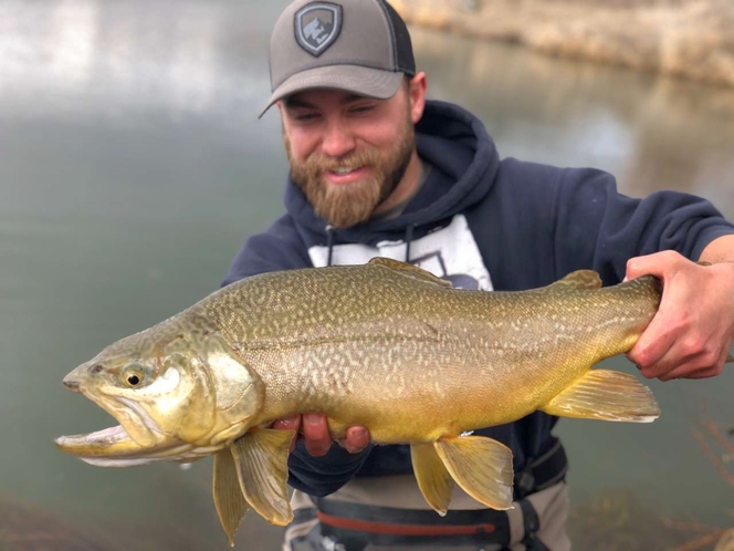 Fly Fishing Utah Dove Creek 1