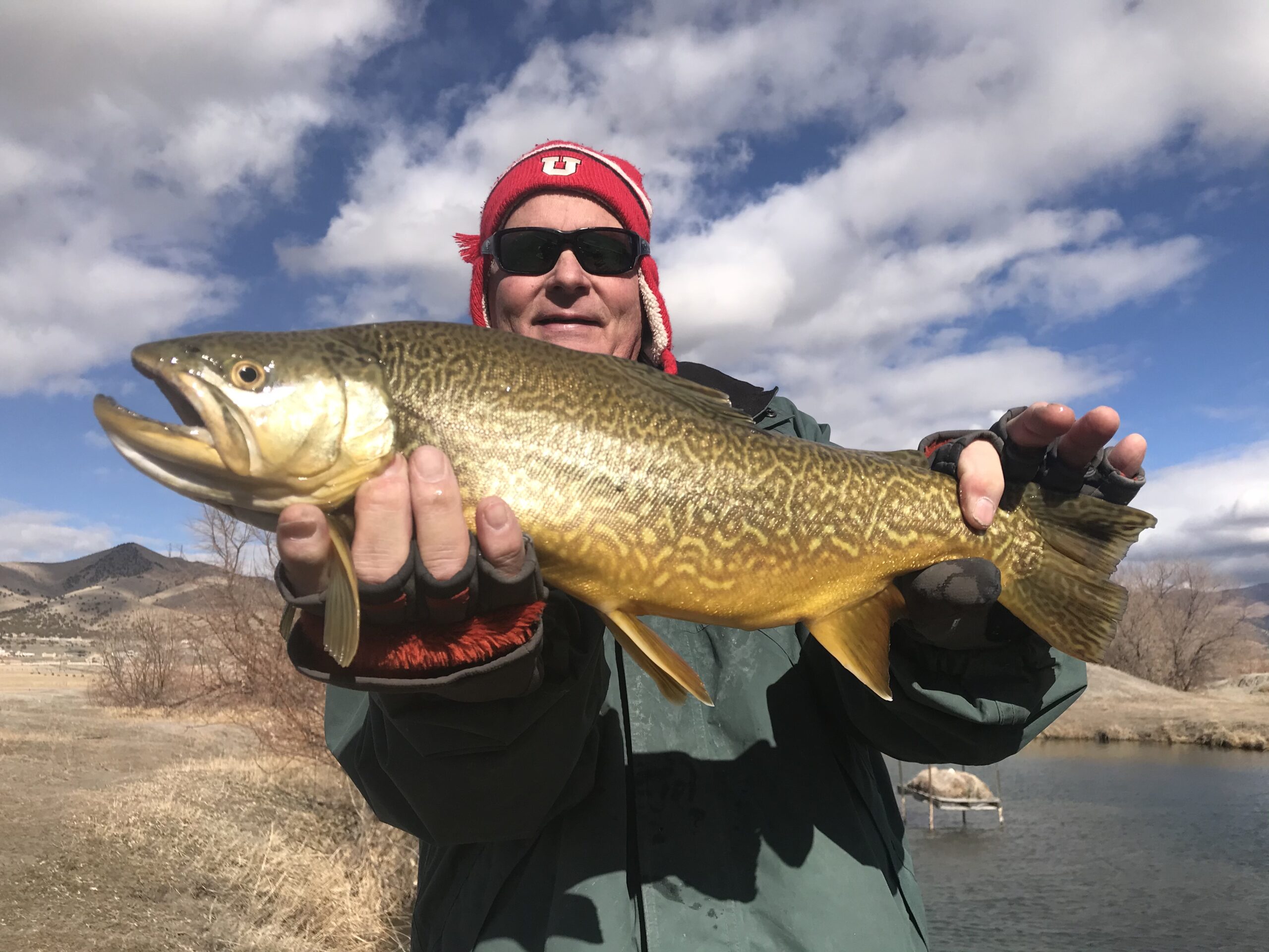 Fly Fishing Utah Dove Creek 7